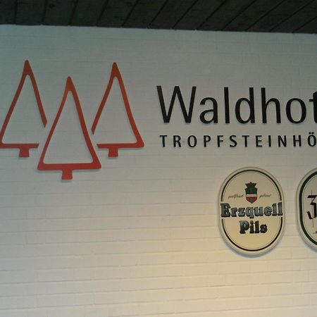 Waldhotel Tropfsteinhoehle Wiehl Ngoại thất bức ảnh